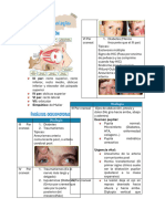 Neuroftalmología