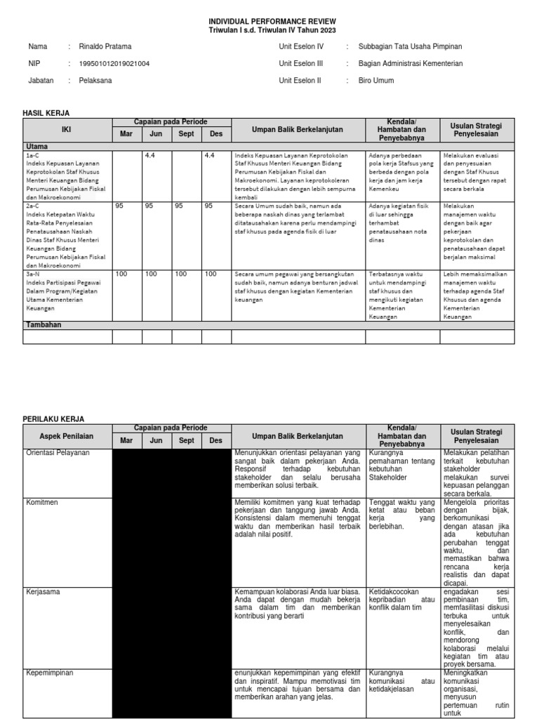 Format Individual Performance Review Rinaldo | PDF