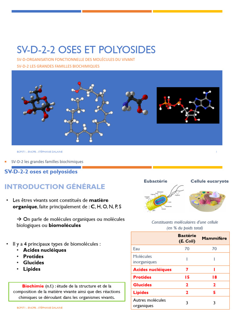 Oses et Polyosides : Cyclisation et Classification | PDF | Glucide ...