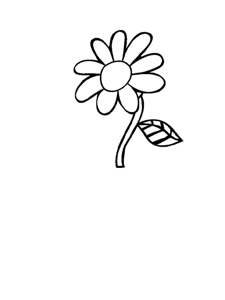 Floare | PDF