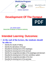 Development Foregut 24