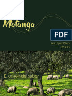 Presentacion Matanga