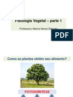 Fisiologia Vegetal 2 Ano - Parte 1 - PDF