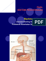 Sistem Pencernaan 1 - 2
