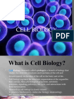 Pptcellbiology 161205170642
