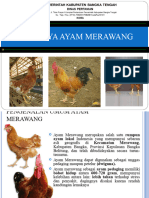 Ayam Merawang Fix