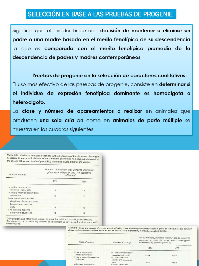 Pruebas de Progenie en Selección Animal | PDF | Cigosidad | Dominancia ...