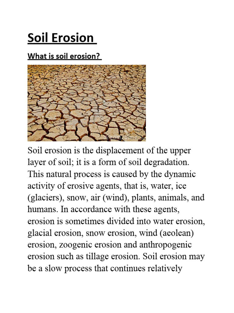 WHAT IS SOIL EROSION PDF visual data 8