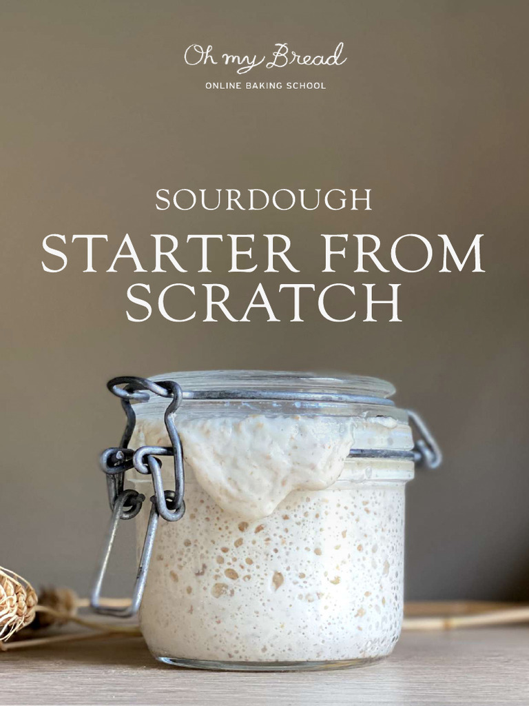 Sourdough Starter Guide PDF | PDF | Sourdough | Flour