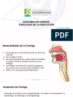 Anato y Fisio de Faringe - Deglucion