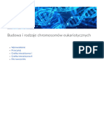 Budowa I Rodzaje Chromosomow Eukariotycznych