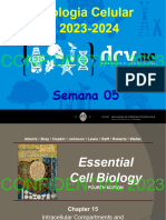 Semana 05BC 2023v1