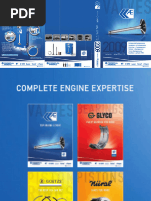 Ae Catae901 Valves 2009 | PDF | Steel | Motor Vehicle