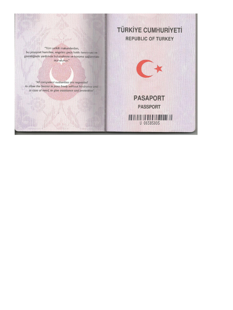 Dad Turkish Passport | PDF