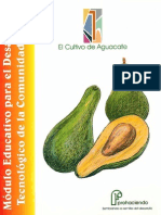 El Cultivo Del Aguacate