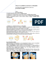 Resumo Dentística