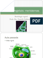 Aula 5 - Tecidos Vegetais-Meristemas