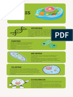 Pink Beige Playful Illustration Finance Infographics