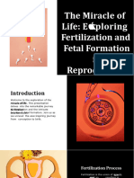 Wepik The Miracle of Life Exploring Fertilization and Fetal Formation in Reproduction 20231212031046xhy2