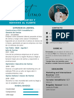 CV Profesional