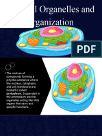 Cell Organelles and Cell Structures and Junctions