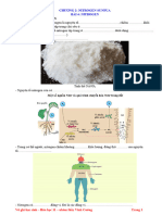 32-Nguyễn Thị Kim Anh-KNTT- Nitrogen