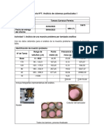 Formato Informe Laboratorio Nº1 Tamara Carrasco Ferreira