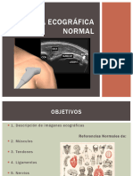 M02 - Anatomia Ecografica Normal