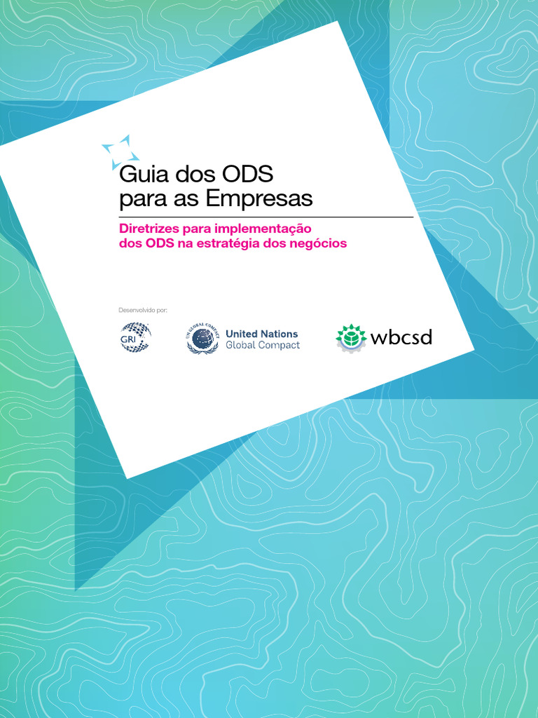 Ods Guia Para Empresas Diretrizes Para Implementação Pdf