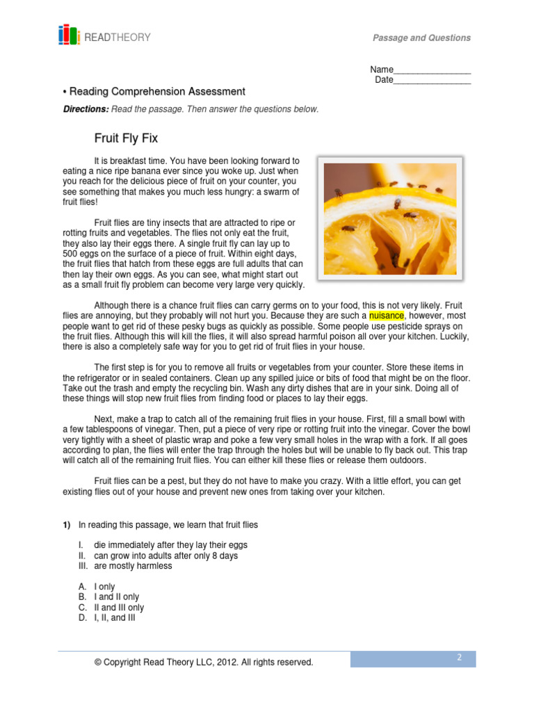Reading | PDF | Fly