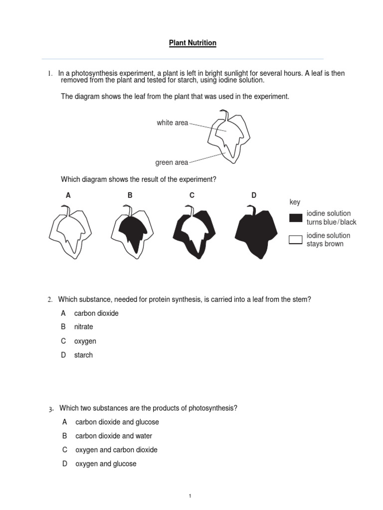 PLANT NUTRITION QUESTIONS AND ANSWERS PDF GRADE 9 PDF DOWNLOAD visual data 6