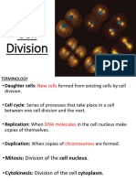 Cell Division PDF