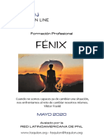 Fenix - Formacion 2020