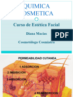 Quimica Cosmetica Fund.