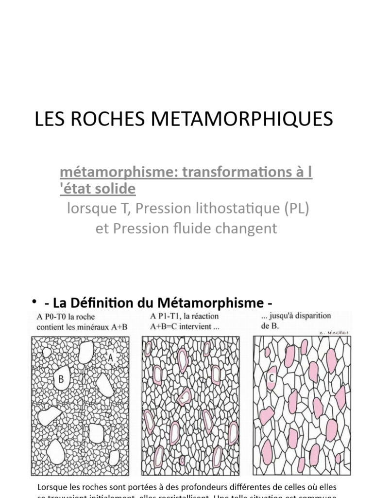 Types et mécanismes du métamorphisme | PDF | Règle des phases ...