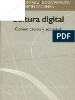 cultura_digital_montagu_pimentel_groisman