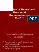 4.neural and Hormonal
