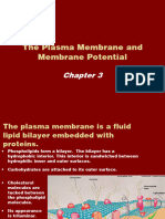 3.plasma Membrane