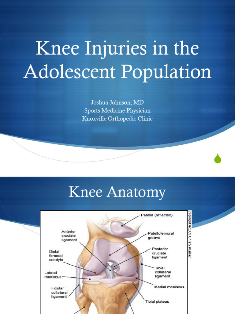 Knee_Presentation | PDF