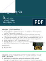 Single Cell Oils