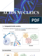 Àcids NUCÈICS