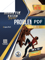 DK Problemler Deneme - Demo