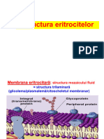 C5 structura eritrocit hb degr metab