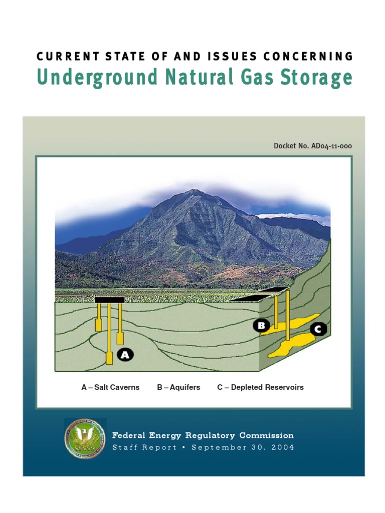 Final Gs Report | PDF | Natural Gas Storage | Petroleum Reservoir