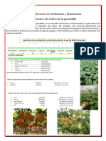 Recomendaciones Cultivo de Granadilla - 110451