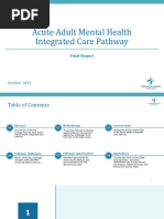 Acute Adult Mental Health Integrated Care Pathway Report FNL October 2023