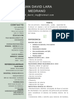 Curriculo Juan David Lara Medrano PDF