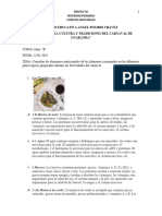 Proyecto Ciencias Naturales