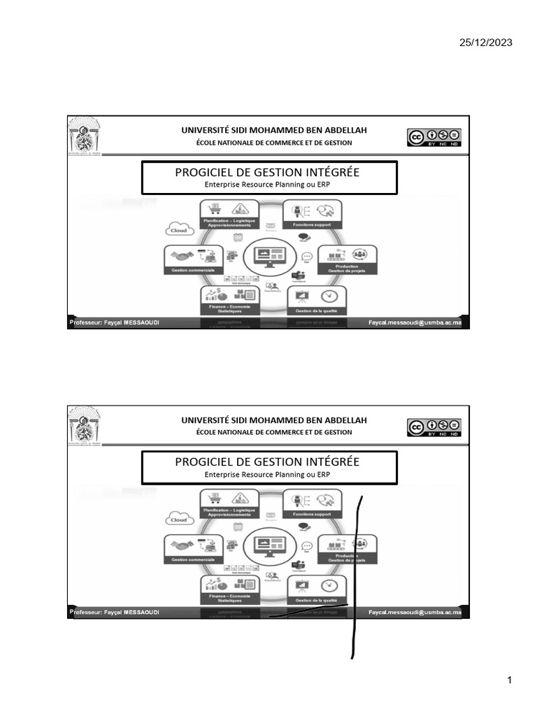ERP pour SSII : Concepts et Pratiques | PDF | Progiciel de gestion ...