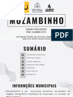 Muzambinho - Leitura Urbana